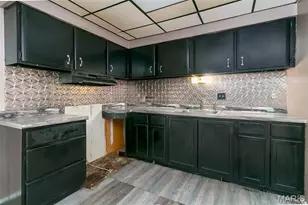 848 Laredo Ave, Saint Louis, MO 63138 - Photo 14