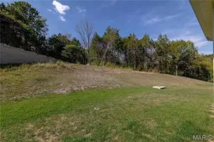 3135 White Pine Dr, Imperial, MO 63052 - Photo 48