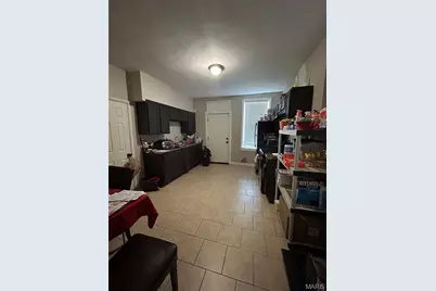 3828 Louisiana Avenue, Saint Louis, MO 63118 - Photo 6