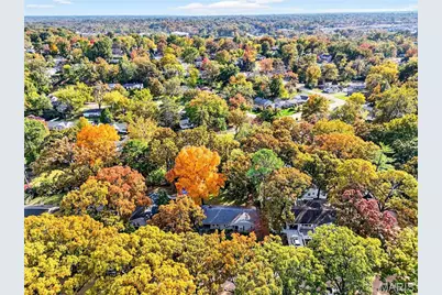 450 Forest Green Drive, Webster Groves, MO 63119 - Photo 28