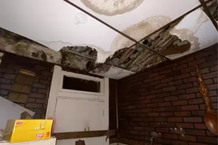 5217 Alcott Ave, Saint Louis, MO 63120 - Photo 6