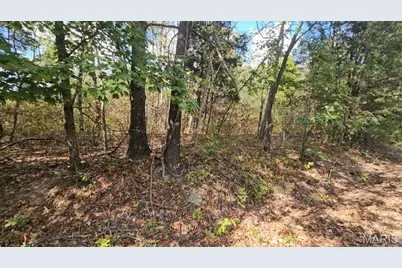 2470 E Squire Road, Lake Sherwood, MO 63357 - Photo 2