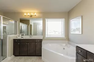 1 Tbb Carver 3 Car @ The Villages At Post Farms, O'Fallon, MO 63385 - Photo 16