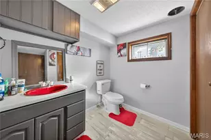 511 McWard Ct 1, Bowling Green, MO 63334 - Photo 34