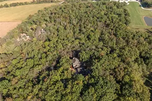 100 Silex Elevator Rd, Silex, MO 63377 - Photo 46