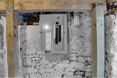 3231 Iowa Avenue, Saint Louis, MO 63118 - Photo 28