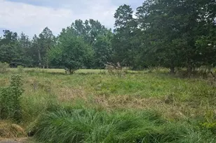 10725 Calvey Hills Rd, Catawissa, MO 63015 - Photo 38