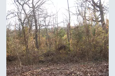 3 Easton Street, De Soto, MO 63020 - Photo 2