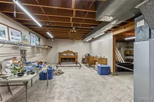 458 Cherry Dr, Saint Genevieve, MO 63670 - Photo 36