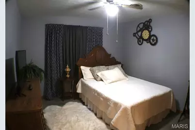 803 N Layne Drive, Malden, MO 63863 - Photo 12