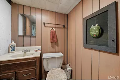 32 Oak Forest Drive, Saint Charles, MO 63303 - Photo 24