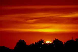 2428 Fiddlers Close Rd, Washington, MO 63090 - Photo 16