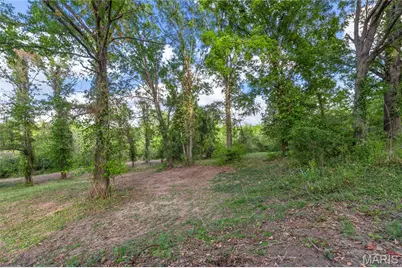 1635 Dunn Road, Saint Louis, MO 63138 - Photo 4