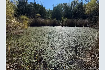 118 Devine Road #110, Bismarck, MO 63624 - Photo 66