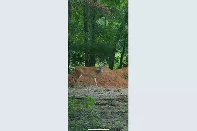 0 Kerick Lane, Bourbon, MO 65441 - Photo 40