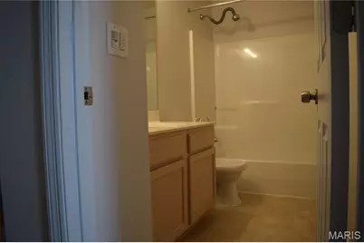 354 Birchwood Crossing Lane, Maryland Heights, MO 63043 - Photo 28