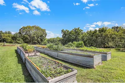 4444 Horstman Road, New Haven, MO 63068 - Photo 46