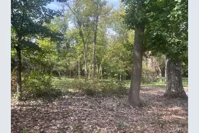 5 Whitfield Lane, Ladue, MO 63124 - Photo 1