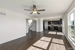 533 Evening Primrose Dr, Wentzville, MO 63385 - Photo 14