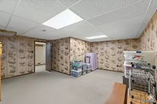 13232 Heirloom Ct, Saint Louis, MO 63146 - Photo 50