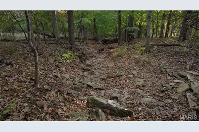 150 Dubuque Lane, Hillsboro, MO 63050 - Photo 68