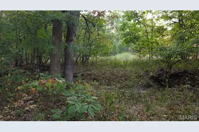 150 Dubuque Lane, Hillsboro, MO 63050 - Photo 70