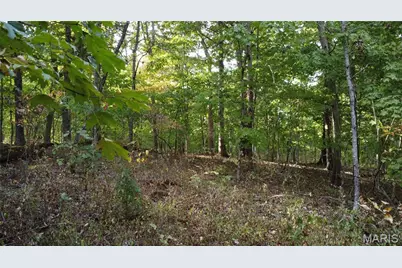 150 Dubuque Lane, Hillsboro, MO 63050 - Photo 6