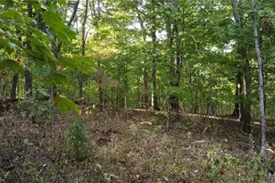 150 Dubuque Ln, Hillsboro, MO 63050 - Photo 6