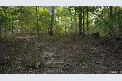 150 Dubuque Lane, Hillsboro, MO 63050 - Photo 72