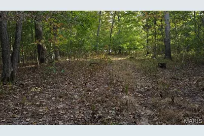 150 Dubuque Lane, Hillsboro, MO 63050 - Photo 74