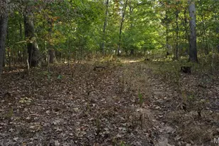 150 Dubuque Ln, Hillsboro, MO 63050 - Photo 74