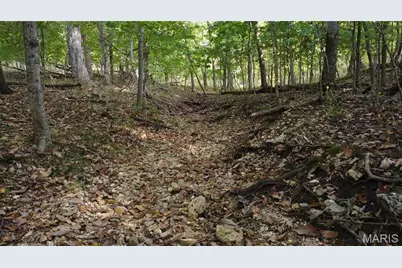 150 Dubuque Lane, Hillsboro, MO 63050 - Photo 60