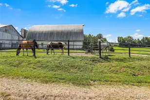4444 Horstman Rd, New Haven, MO 63068 - Photo 30