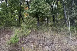 6234 Osage, French Village, MO 63036 - Photo 1