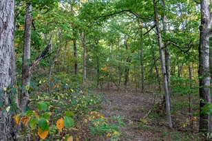 5400 Nolting Rd, French Village, MO 63036 - Photo 56