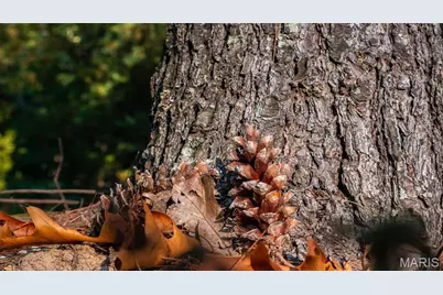 5400 Nolting Road, French Village, MO 63036 - Photo 40