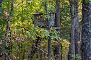 5400 Nolting Rd, French Village, MO 63036 - Photo 48