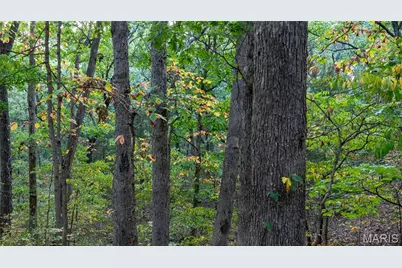 5400 Nolting Road, French Village, MO 63036 - Photo 58