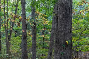 5400 Nolting Rd, French Village, MO 63036 - Photo 58