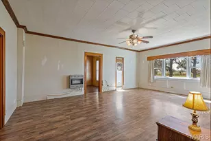 1254 State Hwy F, Cardwell, MO 63829 - Photo 10