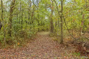 2920 221 Hwy, Doe Run, MO 63637 - Photo 8