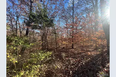 14234 Lucas Drive, De Soto, MO 63020 - Photo 4