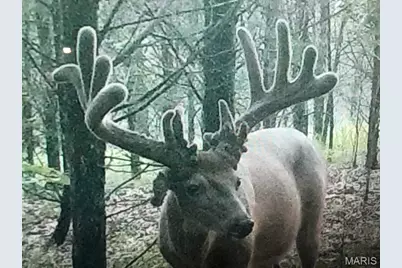 0 State Route 21, De Soto, MO 63020 - Photo 4