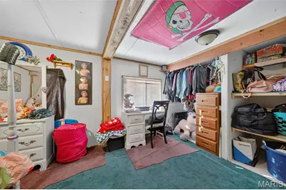 104 Pine Street, Old Monroe, MO 63369 - Photo 14