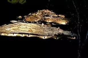 253 Whitetail Crossing Dr, Troy, MO 63379 - Photo 40