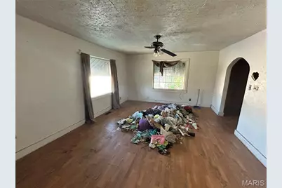 448 Lester Street, Poplar Bluff, MO 63901 - Photo 4