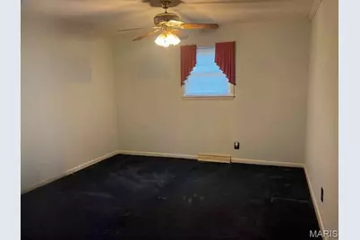 39713 Felix Drive, Malden, MO 63863 - Photo 12