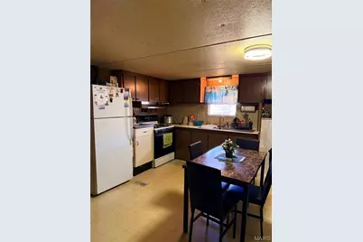 307 Benson Street, Fredericktown, MO 63645 - Photo 6