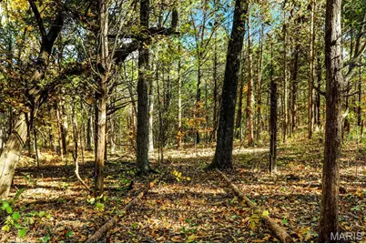 6 Cindy Drive, Luebbering, MO 63061 - Photo 28