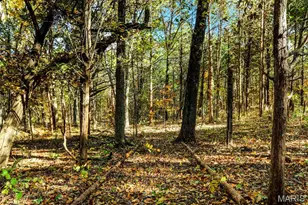 6 Cindy Dr, Luebbering, MO 63061 - Photo 28